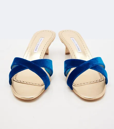 Mules Callydramu aus Samt - Manolo Blahnik - Modalova