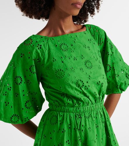 Openwork embroidered cotton midi dress - Carolina Herrera - Modalova