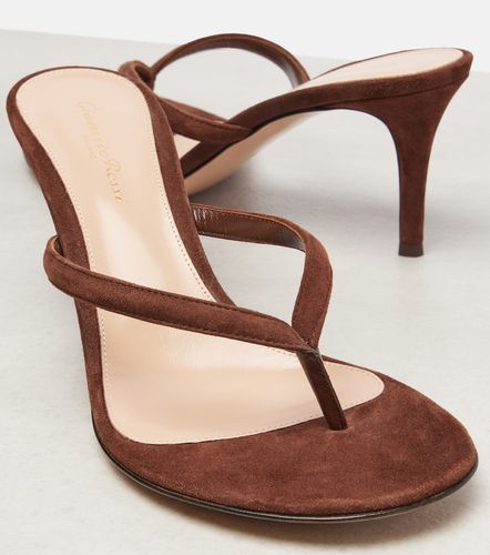Gianvito Rossi Suede thong sandals - Gianvito Rossi - Modalova