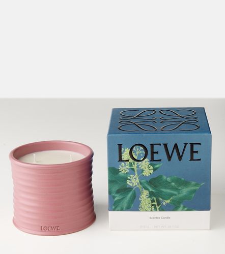 Duftkerze Ivy Medium - Loewe Home Scents - Modalova