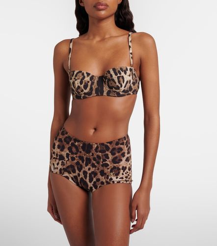 Leopard-print bikini bottoms - Dolce&Gabbana - Modalova