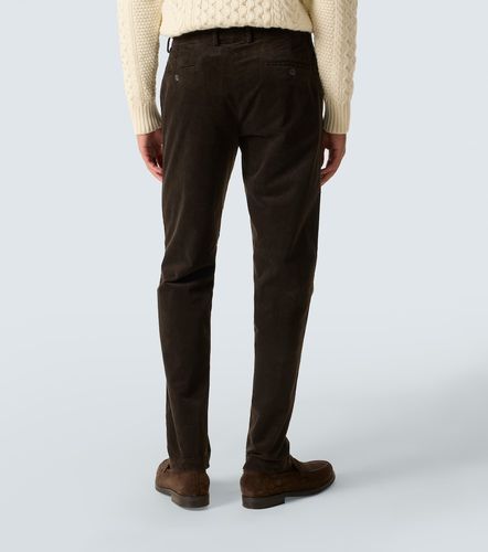 Pantaloni regular in velluto a coste di cotone - Sunspel - Modalova
