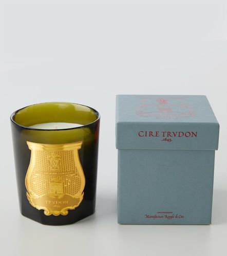 Trudon Vela Josephine - Trudon - Modalova