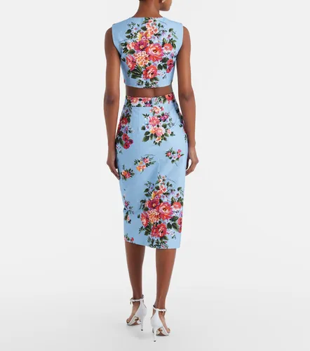 Falda tubo de algodón floral - Dolce&Gabbana - Modalova