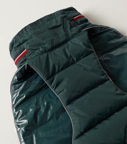 Abrigo para perro Poldo Dog Couture - Moncler - Modalova