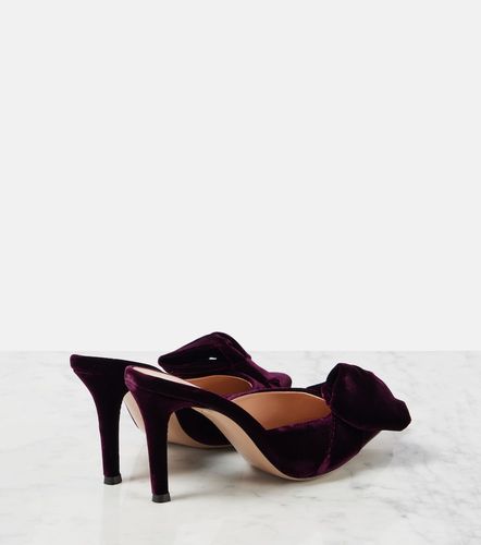 Mules 85 in velluto con fiocco - Gianvito Rossi - Modalova