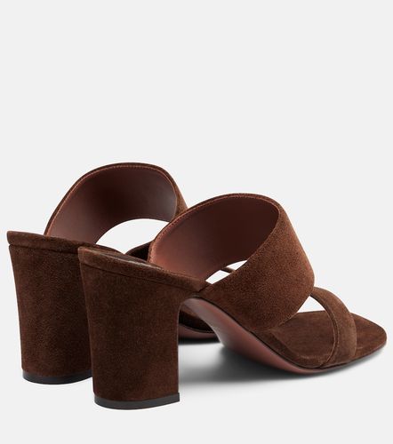 Paris Texas Mules Ava in suede - Paris Texas - Modalova