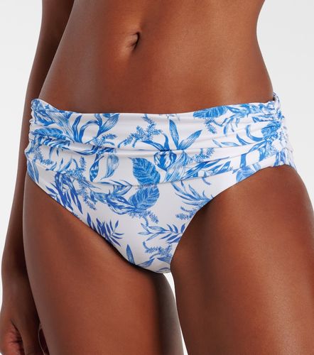 Braga de bikini Bel Air estampada - Melissa Odabash - Modalova