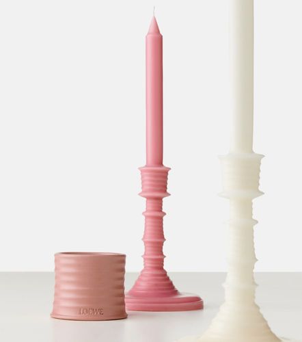 Loewe Home Scents Vela Ivy - Loewe Home Scents - Modalova