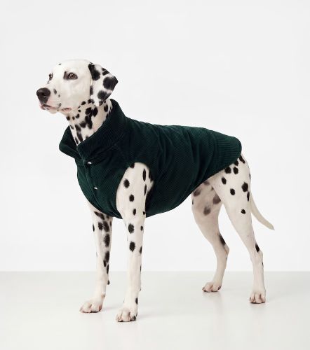 Gucci Wendbarer Mantel für Hunde - Gucci - Modalova