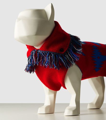 X Poldo Dog Couture - Pullover per cani Icon - Alanui - Modalova