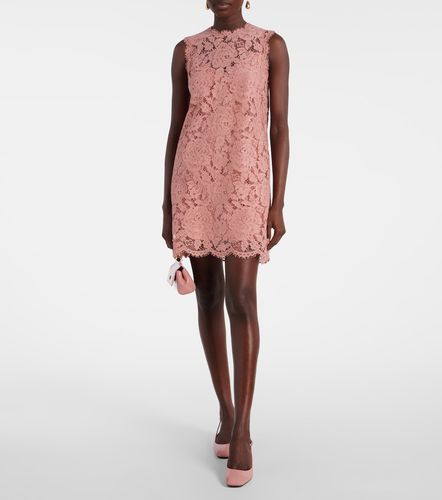 Minikleid DG aus Spitze - Dolce&Gabbana - Modalova