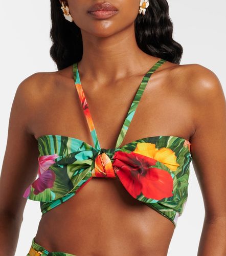 Top de algodón floral con lazo - Dolce&Gabbana - Modalova