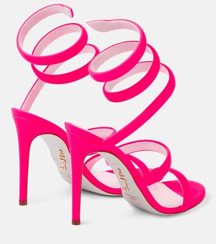 Rene Caovilla Cleo suede sandals - Rene Caovilla - Modalova