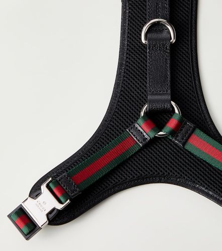Gucci S/M GG canvas dog harness - Gucci - Modalova