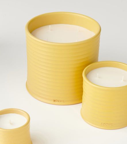 Candela profumata Honeysuckle piccola - Loewe Home Scents - Modalova