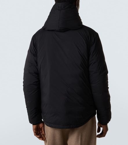 Canada Goose Daunenjacke Lodge - Canada Goose - Modalova