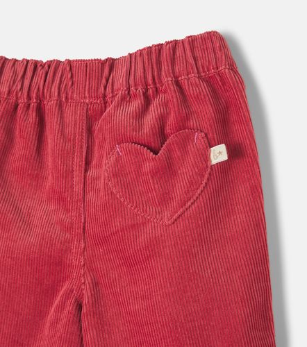 Bebé - Pantalones de pana de algodón - Bonton - Modalova