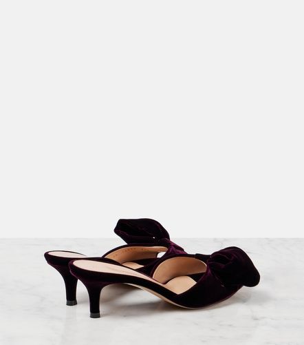 Mules 55 in velluto con fiocco - Gianvito Rossi - Modalova