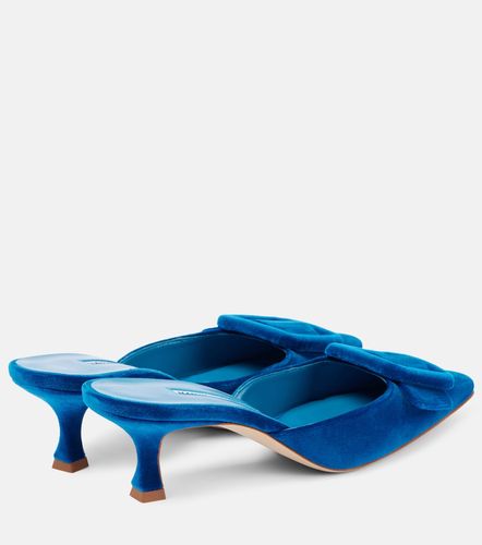 Mules Maysale 50 de terciopelo - Manolo Blahnik - Modalova