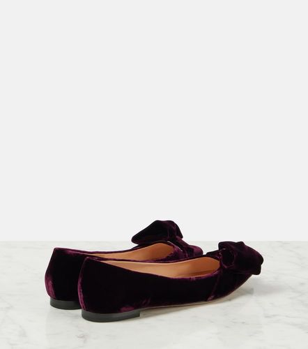 Gianvito Rossi Ballerinas aus Samt - Gianvito Rossi - Modalova