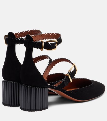 Pumps Eddie 55 aus Veloursleder - Zimmermann - Modalova
