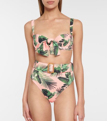 Ursula palm-print bikini bottoms - Alexandra Miro - Modalova
