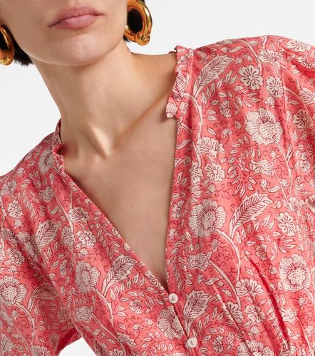 Velvet Abito corto Mary in cotone - Velvet - Modalova