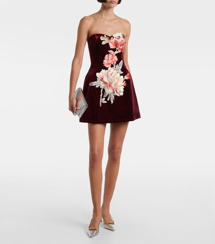 Besticktes Minikleid Rosario aus Samt - Leo Lin - Modalova