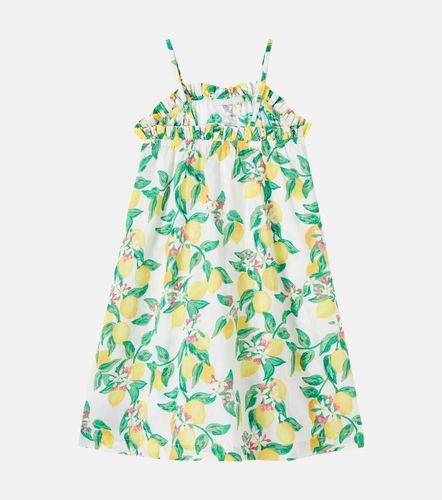 Vestido Connie de algodón estampado - Molo - Modalova