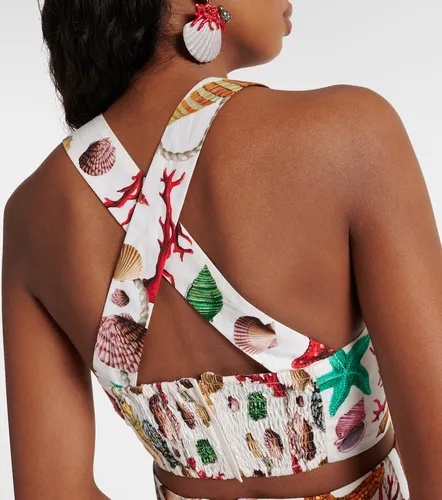 Crop top Capri de algodón estampado - Dolce&Gabbana - Modalova