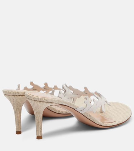 Sandali infradito Ocean 70 in pelle - Gianvito Rossi - Modalova