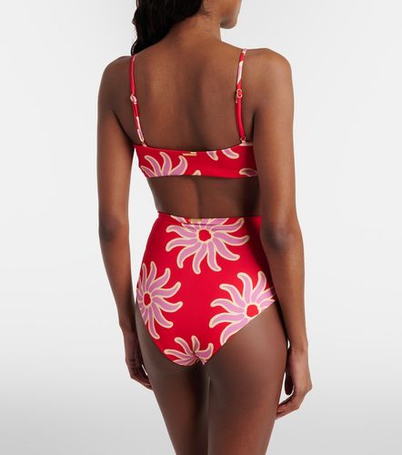 Elisa printed bikini bottoms - Cala de la Cruz - Modalova