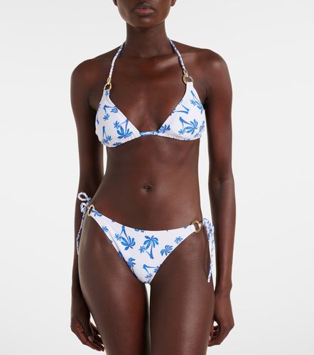 Palm Beach printed bikini bottoms - Heidi Klein - Modalova
