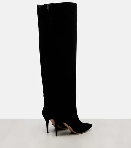 Botas altas Hansen 85 de ante - Gianvito Rossi - Modalova