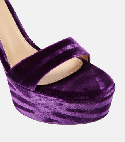 Holly velvet platform sandals - Gianvito Rossi - Modalova