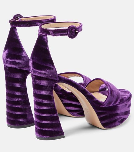 Sandali Holly in velluto con plateau - Gianvito Rossi - Modalova