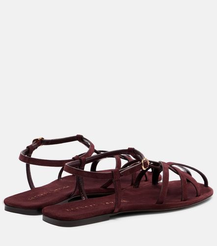 Sandalen The Catch aus Veloursleder - Herbert Levine - Modalova