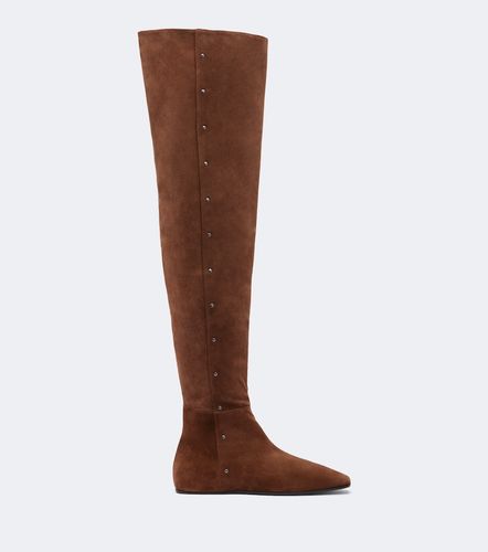 Stivali cuissardes in suede con borchie - Max Mara - Modalova