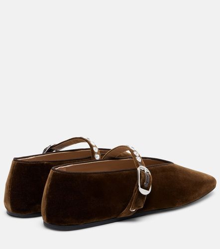 Le Monde Béryl Ballerinas Stella aus Samt - Le Monde Beryl - Modalova