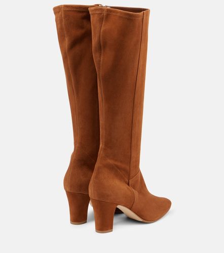 Botas altas Pitana de ante - Manolo Blahnik - Modalova