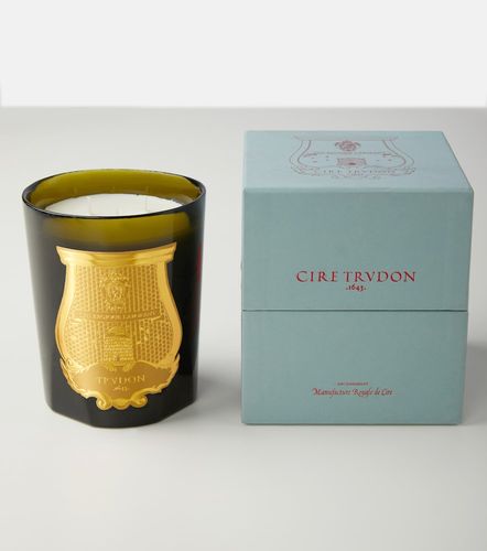 Trudon Vela Abd El Kader Intermezzo - Trudon - Modalova