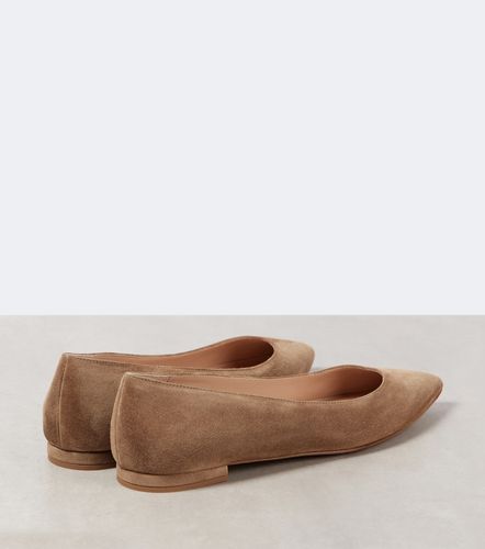 Ballerine Gianvito in suede - Gianvito Rossi - Modalova