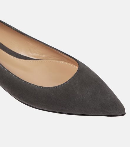 Ballerine Gianvito in suede - Gianvito Rossi - Modalova