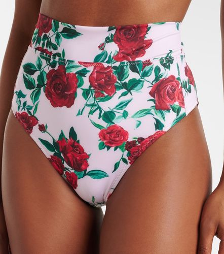 Braga de bikini Ines floral - Alexandra Miro - Modalova
