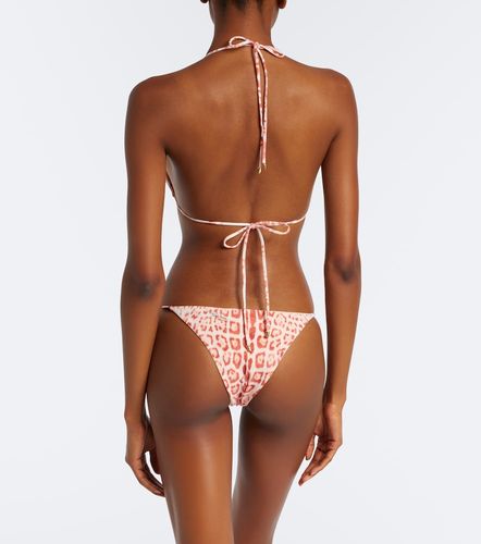 Braga de bikini estampada - Roberto Cavalli - Modalova