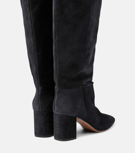 Botas mosqueteras Anja de ante - Paris Texas - Modalova