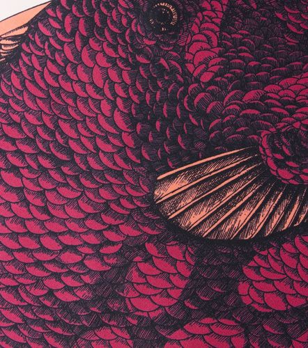 Cojín Pesce Balestra de seda estampado - Fornasetti - Modalova