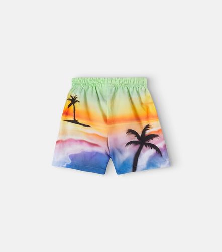 Bebé - shorts Solar de algodón estampados - Molo - Modalova