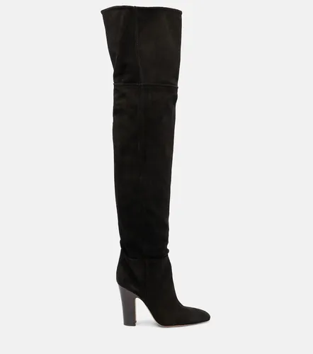 Botas mosqueteras Lavinia de ante - Paris Texas - Modalova